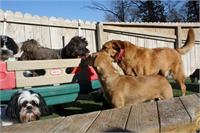 daycare pic 141